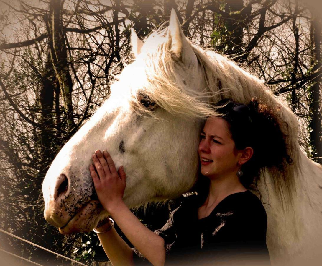 Une Roulotte Et Des Chevaux Treffléan 외부 사진